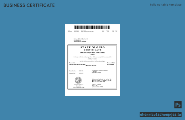 USA Ohio: Beispiel für die Registrierung eines Handelsnamens (Word- und PDF-Datei)